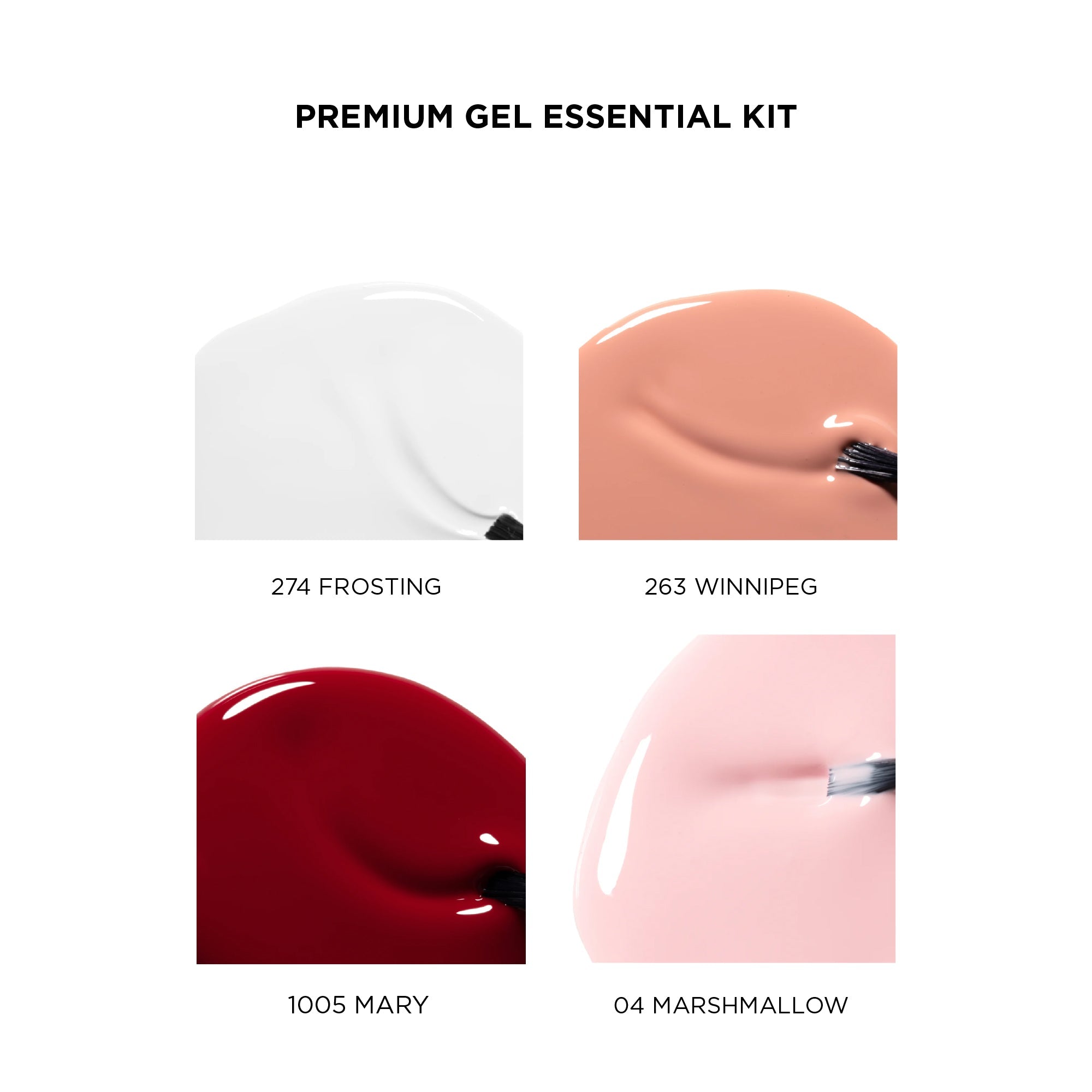 Premium Gel Essentials Kit - Bio Seaweed Gel USA