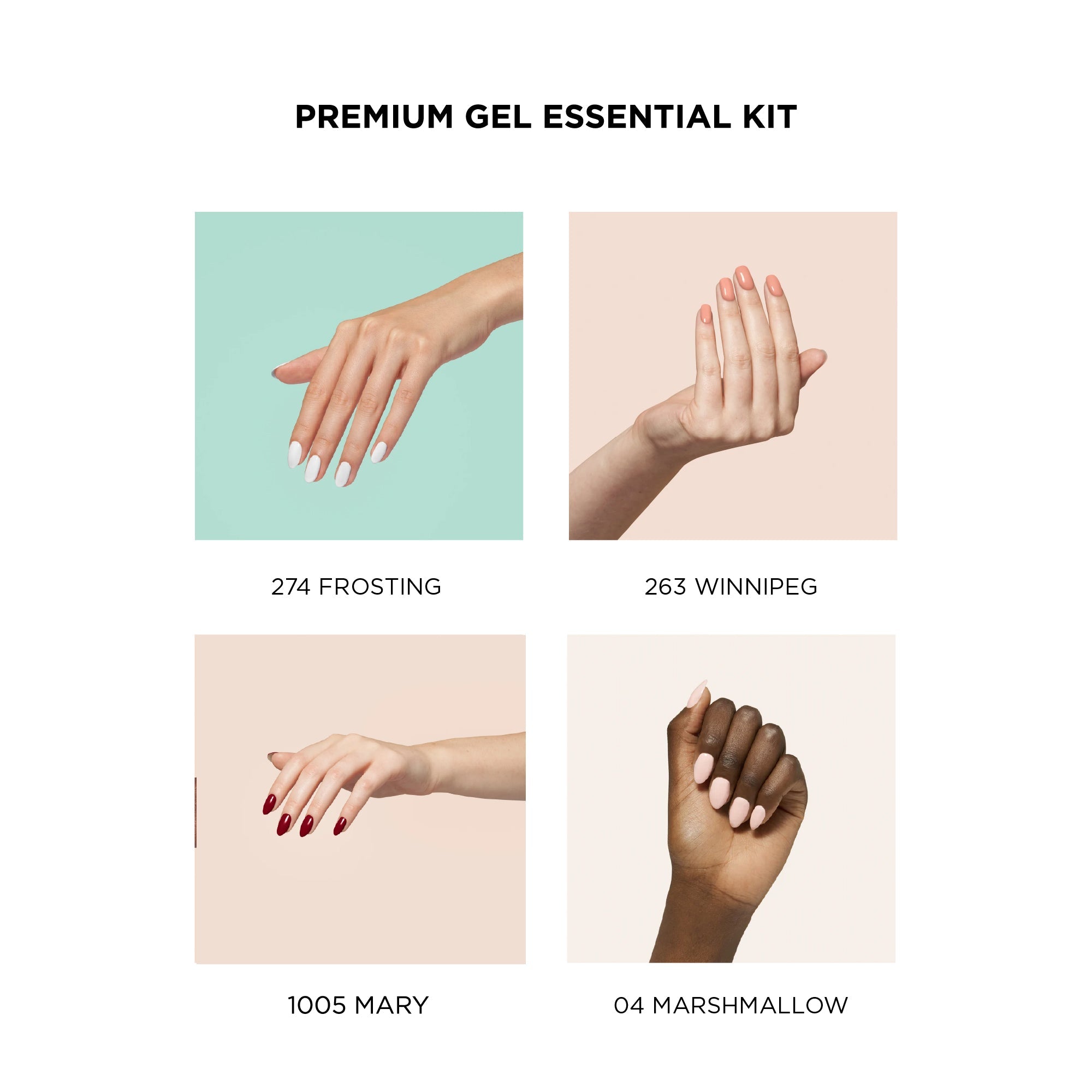 Premium Gel Essentials Kit - Bio Seaweed Gel USA