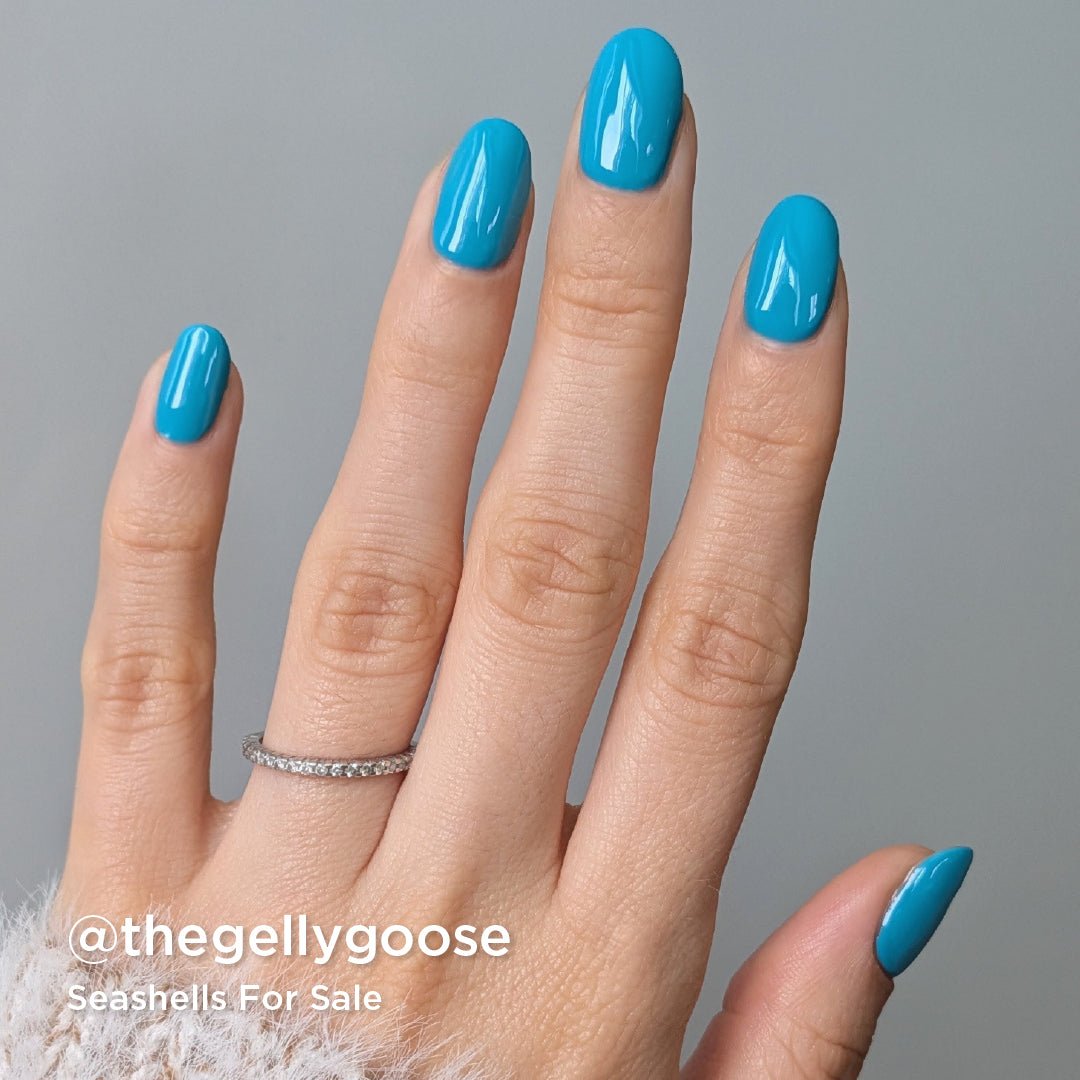 Seashells For Sale Collection - Bio Seaweed Gel USA