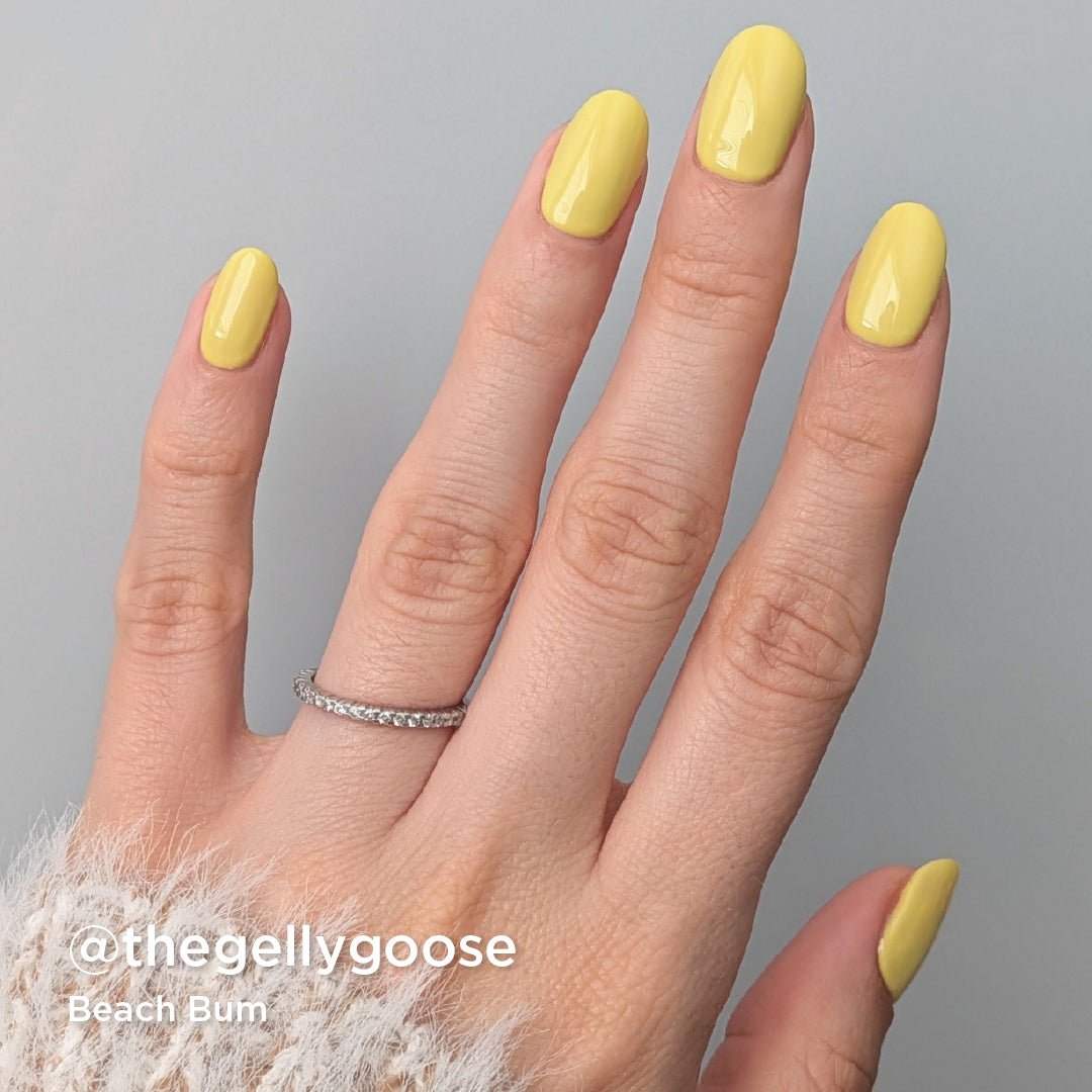 Seashells For Sale Collection - Bio Seaweed Gel USA