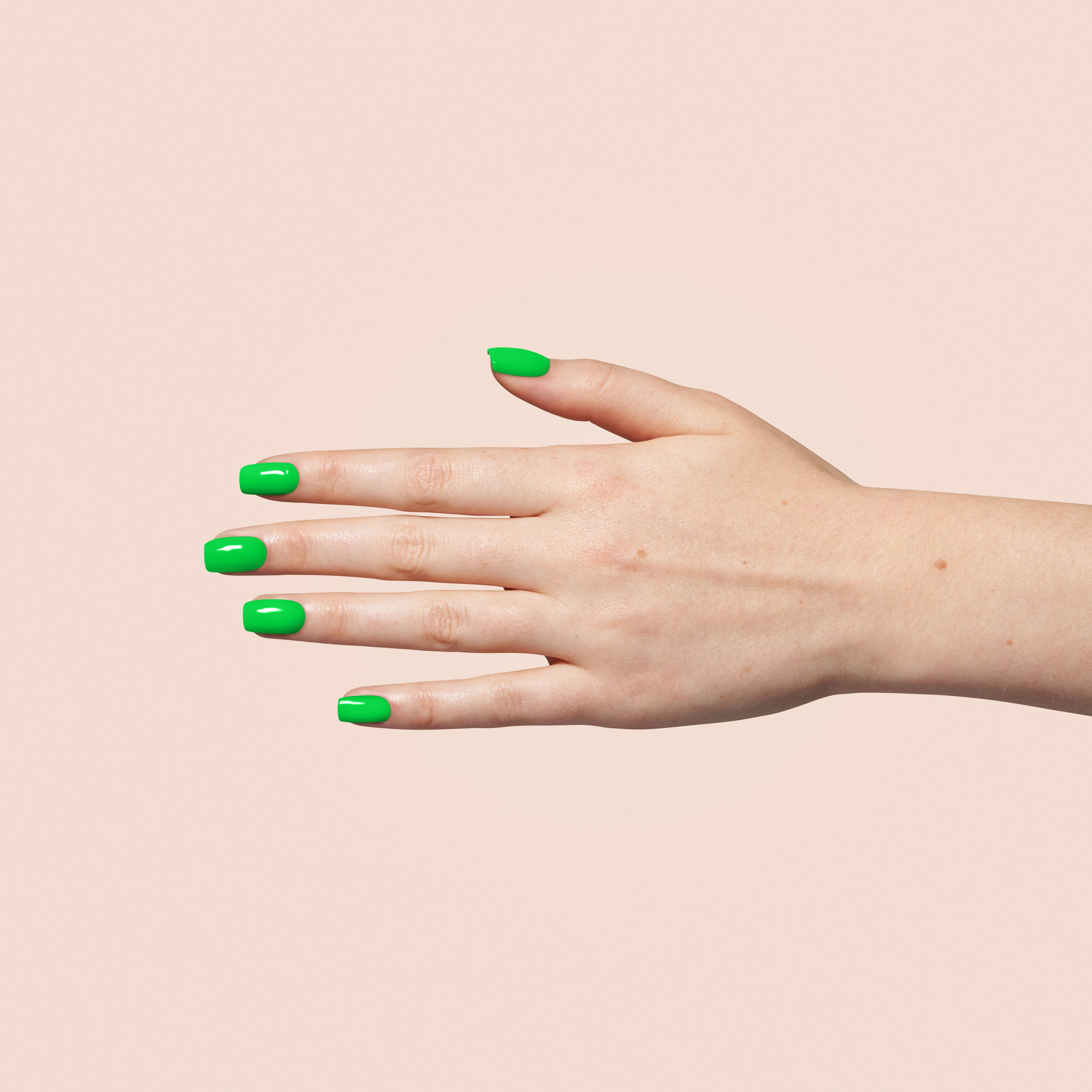 207 Lime