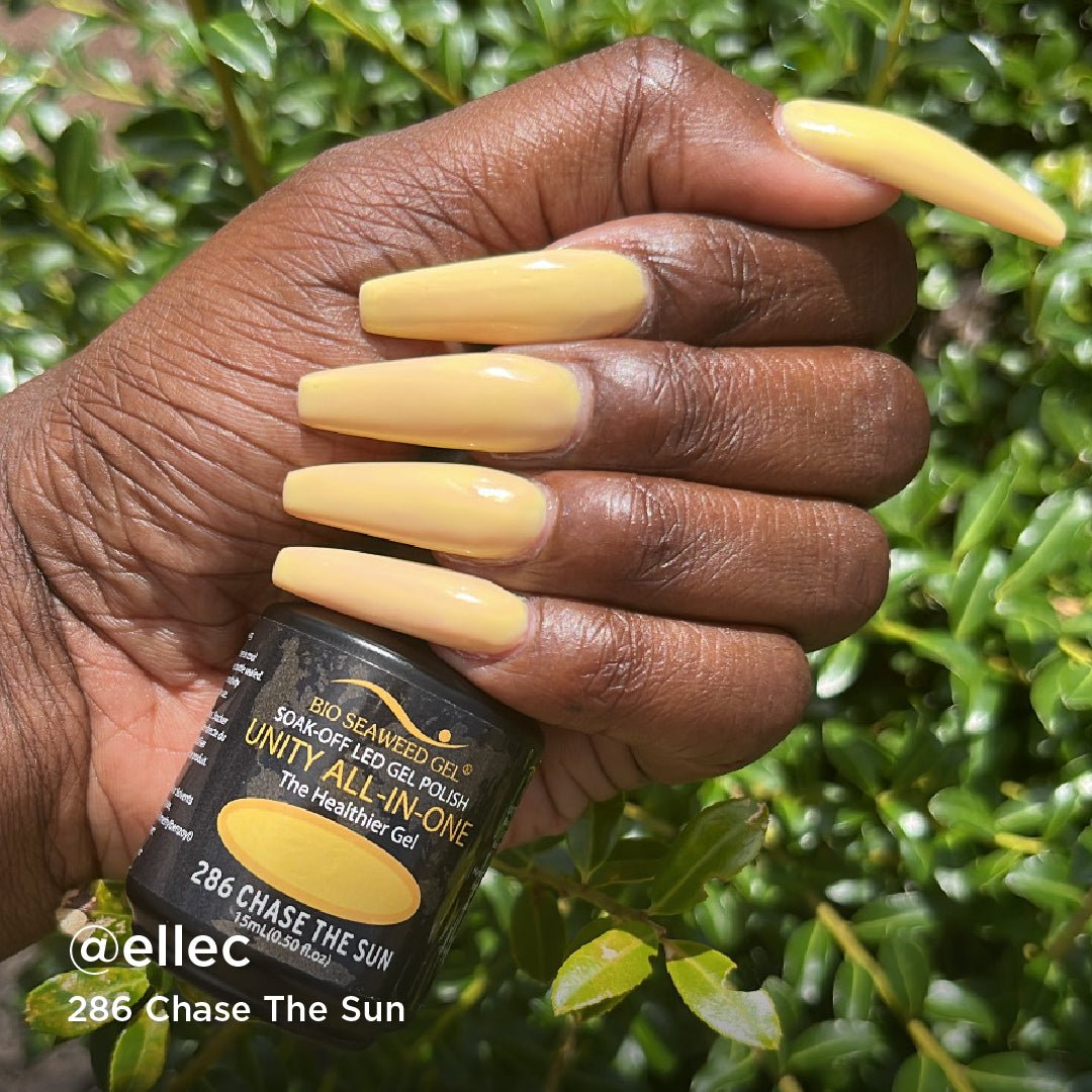 286 Chase the Sun - Bio Seaweed Gel USA