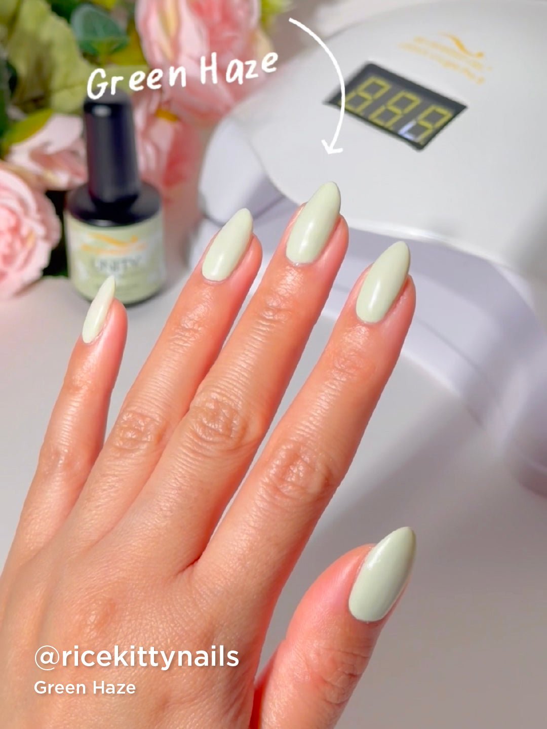 Green Haze - Bio Seaweed Gel USA