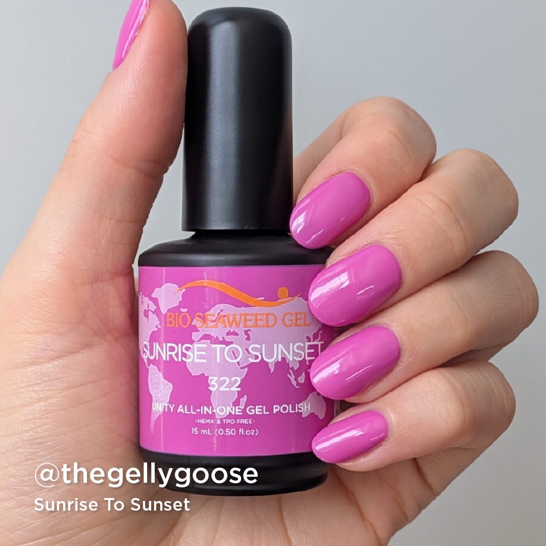 Seashells For Sale Collection - Bio Seaweed Gel USA