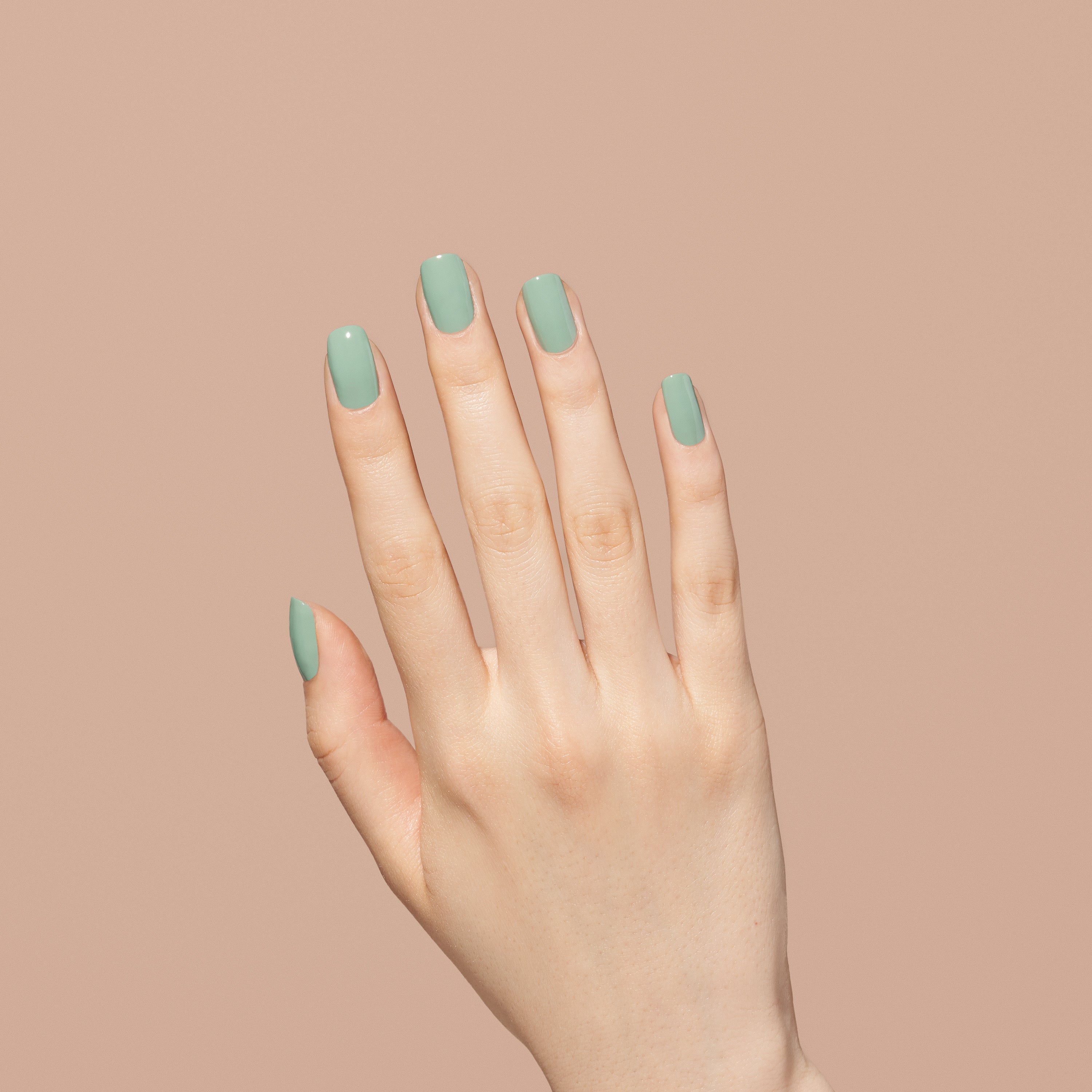 1027 Pretty In Sage